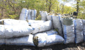 Dar Yaongoza Matumizi ya Mkaa Tanzania