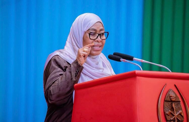 Samia Asema Vurugu Zilipanga Kuangusha Dola, Tutailinda Tulivyoapa