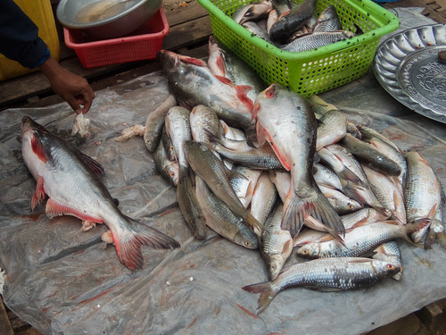 Viwanda vya Kuchakata Samaki Kufufuliwa