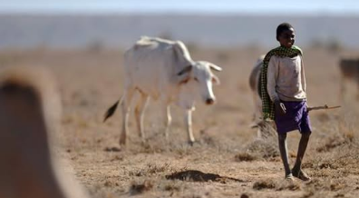 Ukame Waathiri Mamilioni Kenya