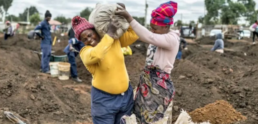 Liwalo na Liwe!! Wajitosa Kuchimba Dhahabu Kwenye Zizi la Ng’ombe