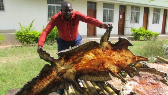 Mamba Wageuka Tishio Ukerewa